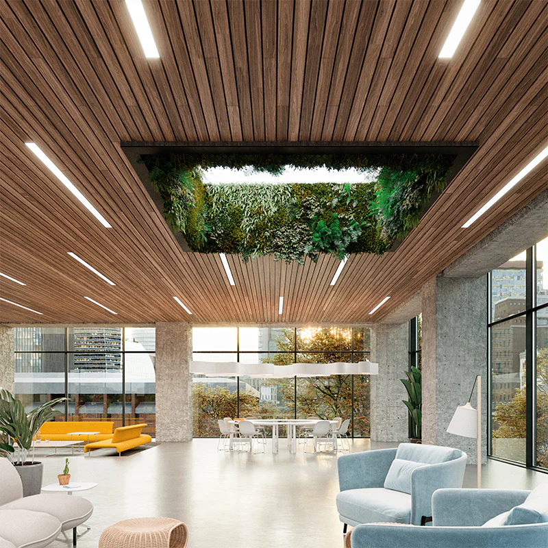 Open Ceiling